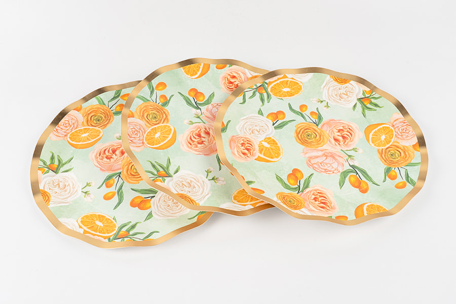 Undo informibus Paper Plates Undo informibus Paper Plates