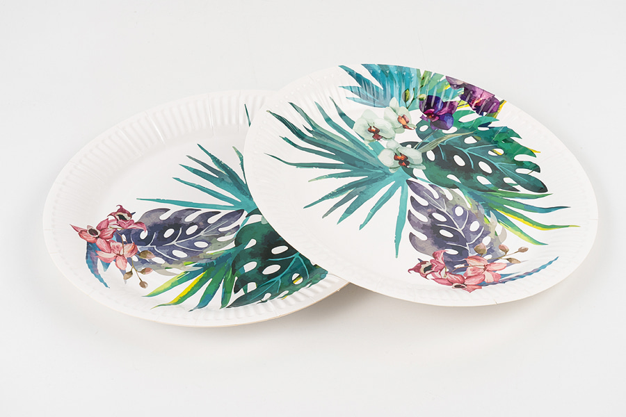 Latin Round Paper Plates Latin Round Paper Plates
